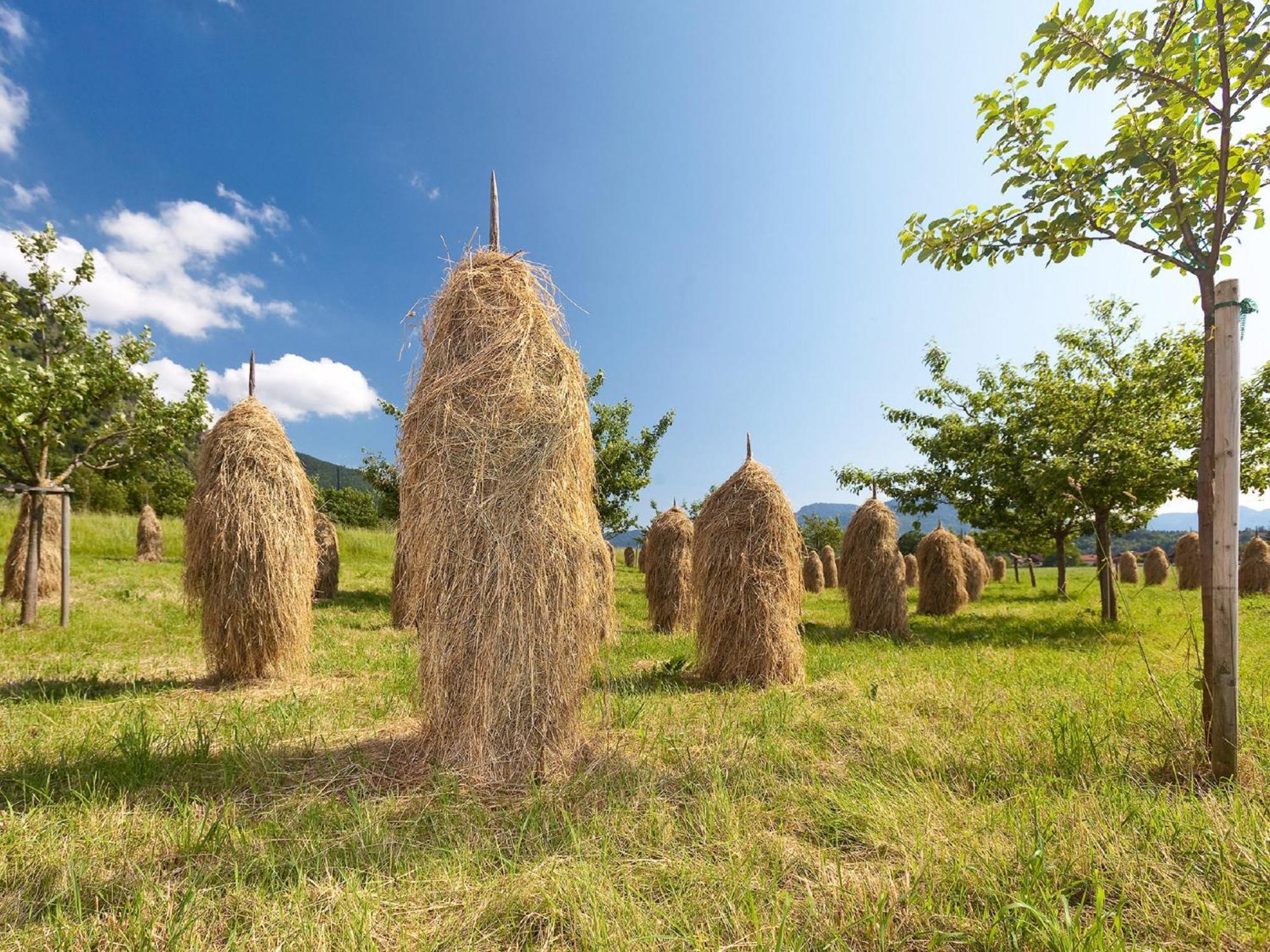 Gaestehaus Weissenbacher-Ferienwohnungen Marquartstein Bagian luar foto