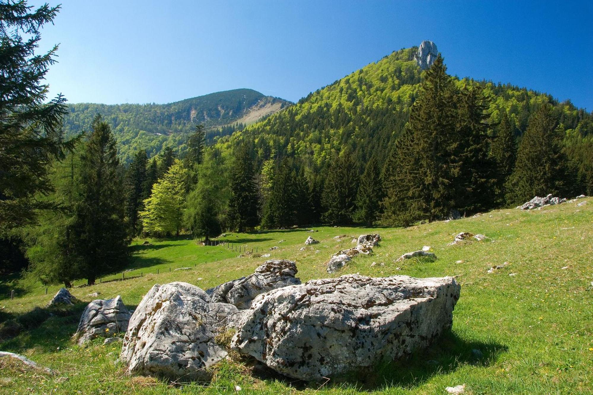 Gaestehaus Weissenbacher-Ferienwohnungen Marquartstein Bagian luar foto